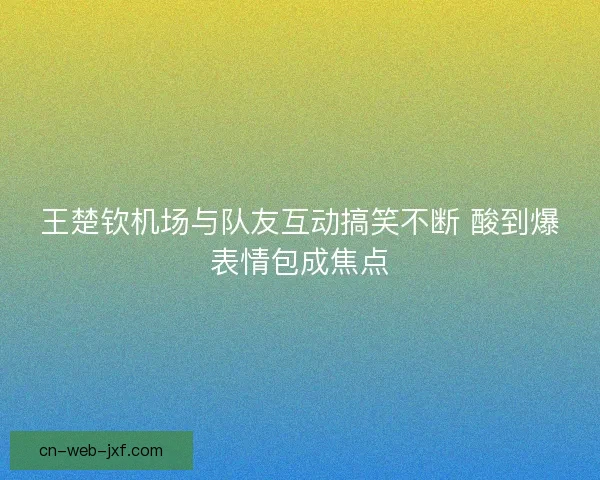 王楚钦机场与队友互动搞笑不断 酸到爆表情包成焦点